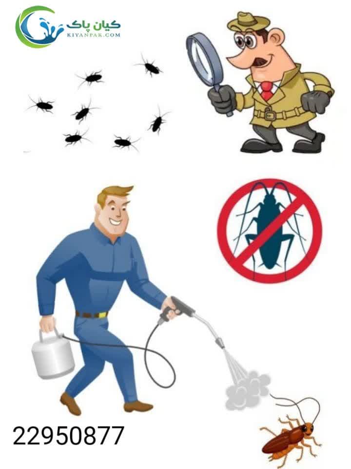 راهکار تخصصی کیان پاک برای نابودی ریشه ای سوسک