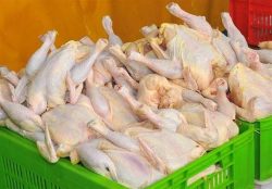 قیمت هرکیلوگرم مرغ ۲۶۷ هزار تومان اعلام شد – ایمیدکو
