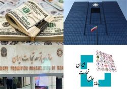 مهلت رفع تعهد ارزی یک ماه تمدید شد – ایمیدکو
