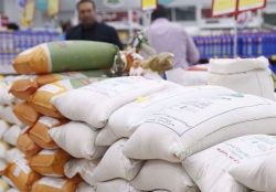 واردات برنج بعد از آزادسازی ارز افزایش یافت – ایمیدکو