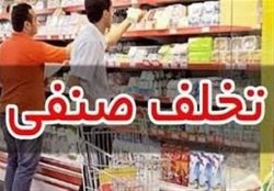 تشکیل ۷ هزار پرونده تخلف برای واحدهای صنفی متخلف در مدت جنگ رمضان