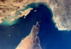 یادداشت| فصل میوه چیدن محصول کاشته شده در میدان جنگ – ایمیدکو