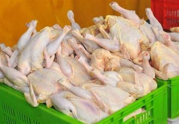 چرا مرغ در بازار کم شد؟ – ایمیدکو