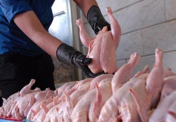 قطعه‌بندی گوشت مرغ ممنوع شد
