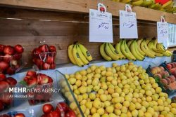 بازار قطر در انتظار افزایش واردات میوه از ایران