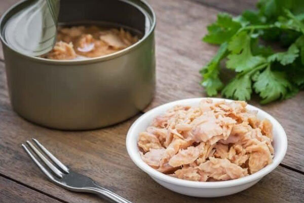 آزادی صادرات کنسرو تن ماهی پس از رفع محدودیت‌ها